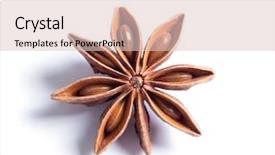  Presentation with seeds - PPT layouts having star anise spice fruits background and a lemonade colored foreground