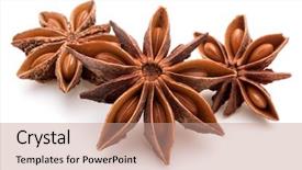  Presentation with seeds - Amazing theme having three stars - star anise spice fruits backdrop and a coral colored foreground