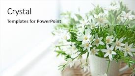  Presentation with furniture - Cool new presentation theme with star bethlehem - bouquet of little white flowers backdrop and a white colored foreground
