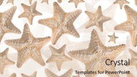  Presentation with starfish - Beautiful theme featuring star fish - beige starfish seamless background pattern backdrop and a lemonade colored foreground