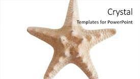  Presentation with starfish - PPT theme featuring star fish - starfish isolated on a whitebackground background and a  colored foreground