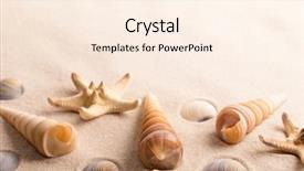  Presentation with fish beach - PPT theme featuring star fish and sea shells background and a  colored foreground