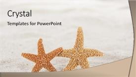  Presentation with fish beach - Presentation theme having star fish on the beach background and a sky blue colored foreground
