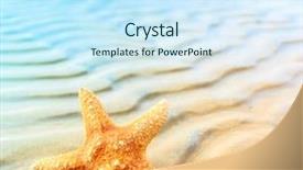  Presentation with fish beach - Colorful PPT theme enhanced with star sea shell backdrop and a cool aqua colored foreground