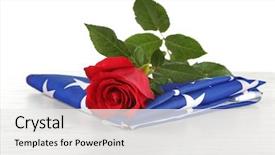  Presentation with white rose - Colorful PPT layouts enhanced with star wars - red rose on american flag backdrop and a white colored foreground