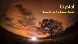  Presentation with lonely - Beautiful presentation design featuring starfield - night landscape with lonely tree backdrop and a tawny brown colored foreground