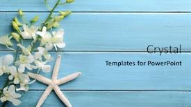  Presentation with starfish - Cool new PPT theme with starfish and orchid flower on wooden background backdrop and a light blue colored foreground