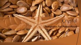  Presentation with pumpkin seeds - Presentation theme having starfish-and-pumpkin-seeds background and a red colored foreground