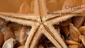  Presentation with pumpkin seeds - Presentation theme featuring starfish-and-pumpkin-seeds background and a gold colored foreground