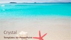  Presentation with seashell - Amazing PPT theme having starfish and seashell in white sand beach with turquoise tropical water backdrop and a lemonade colored foreground