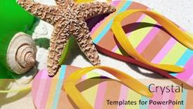  Presentation with flipflops - Colorful PPT layouts enhanced with starfish and shell by flipflops backdrop and a yellow colored foreground