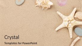  Presentation with sea shells - Audience pleasing presentation theme consisting of sea sand with starfish and shells top view with copy space backdrop and a lemonade colored foreground