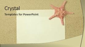  Presentation with beach frame - Colorful PPT theme enhanced with starfish and shells with frame on the beach vacation memories backdrop and a soft green colored foreground