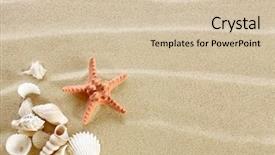  Presentation with shells - Slide deck enhanced with starfish and shells background and a soft green colored foreground
