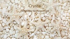  Presentation with seashell - Presentation design consisting of starfish and white seashell assortment background and a lemonade colored foreground