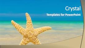  Presentation with tropical beach party - Presentation theme consisting of starfish at the tropical beach background and a teal colored foreground