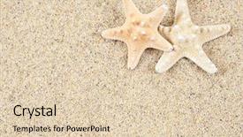  Presentation with starfish - PPT theme enhanced with starfish in the beach sand background and a lemonade colored foreground