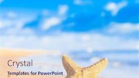  Presentation with starfish - Cool new PPT layouts with starfish called wanda under the sun backdrop and a sky blue colored foreground