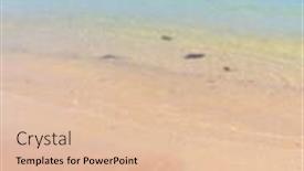  Presentation with starfish - Cool new PPT theme with starfish-called-wanda backdrop and a lemonade colored foreground