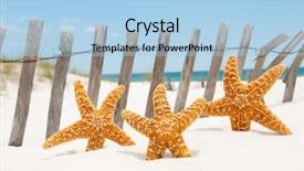  Presentation with fish beach - Amazing theme having starfish collection by beach fence backdrop and a light blue colored foreground