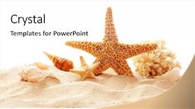  Presentation with shells - Amazing PPT theme having starfish coral and shells on sand against white background backdrop and a white colored foreground