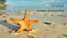  Presentation with starfish - Audience pleasing PPT theme consisting of starfish-on-a-beautiful-beach backdrop and a light blue colored foreground
