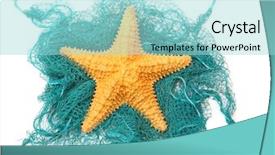  Presentation with fishing net - Cool new slide set with starfish on a fishing net backdrop and a arctic colored foreground