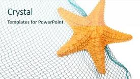  Presentation with pearls and oysters starfish - Cool new slide deck with starfish on a fishing net backdrop and a cool aqua colored foreground