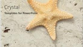  Presentation with starfish - Presentation theme having starfish-on-a-marble-slab background and a lemonade colored foreground