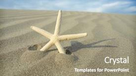  Presentation with starfish - Amazing presentation having starfish on a sand beach backdrop and a gray colored foreground