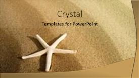  Presentation with starfish - Slides consisting of starfish on a sand beach background and a yellow colored foreground