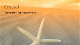  Presentation with starfish - Colorful slides enhanced with starfish on a sand beach backdrop and a light gray colored foreground