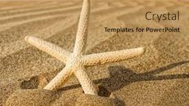  Presentation with starfish - PPT layouts featuring starfish on a sand beach background and a coral colored foreground