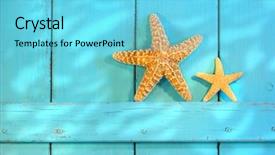  Presentation with old rusty pipe - Beautiful PPT theme featuring starfish on an old rustic backdrop and a arctic colored foreground