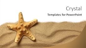  Presentation with starfish - Amazing slide deck having starfish-on-beach-sand-close backdrop and a white colored foreground