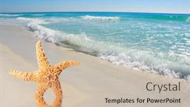  Presentation with ocean waves - Amazing PPT theme having starfish on deserted beach with pretty ocean waves backdrop and a soft green colored foreground