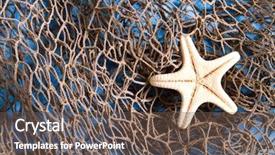  Presentation with fishing net - Presentation enhanced with starfish on fishing net studio shot background and a tawny brown colored foreground