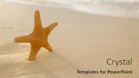  Presentation with light waves - Beautiful PPT layouts featuring starfish on golden sand beach with waves in soft sunset light shallow dof backdrop and a coral colored foreground