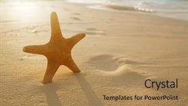  Presentation with light waves - Beautiful presentation design featuring starfish on golden sand beach backdrop and a coral colored foreground
