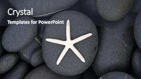  Presentation with starfish - PPT layouts consisting of starfish on pebbles background and a dark gray colored foreground