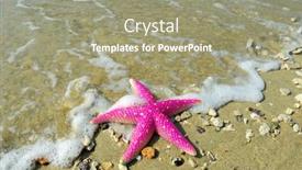  Presentation with starfish - Theme with starfish on reef seacoast background and a mint green colored foreground