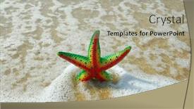  Presentation with starfish - Slide deck consisting of starfish on reef seacoast background and a light gray colored foreground