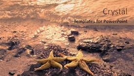  Presentation with starfish - Presentation theme featuring starfish on reef seacoast background and a coral colored foreground
