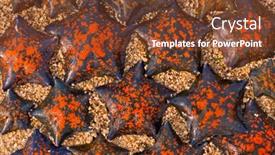  Presentation with released - Presentation with starfish on sea sand coast have been released in the sea background and a tawny brown colored foreground