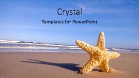  Presentation with starfish - PPT theme consisting of starfish on summer sunny beach background and a light blue colored foreground