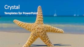  Presentation with copy space leadership - PPT layouts with starfish on the beach copy background and a  colored foreground