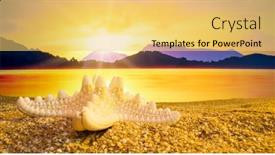  Presentation with starfish - Beautiful PPT theme featuring starfish-on-the-beach backdrop and a yellow colored foreground
