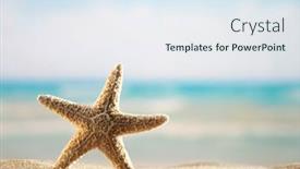  Presentation with starfish - 