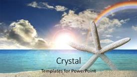  Presentation with starfish - Beautiful PPT theme featuring starfish on the beach backdrop and a light blue colored foreground