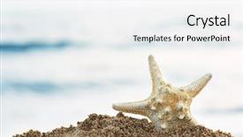  Presentation with starfish - Presentation theme with starfish on the sand background and a white colored foreground